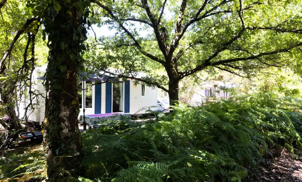 En Chon Les Pins - Camping-Caravaning Tæt på