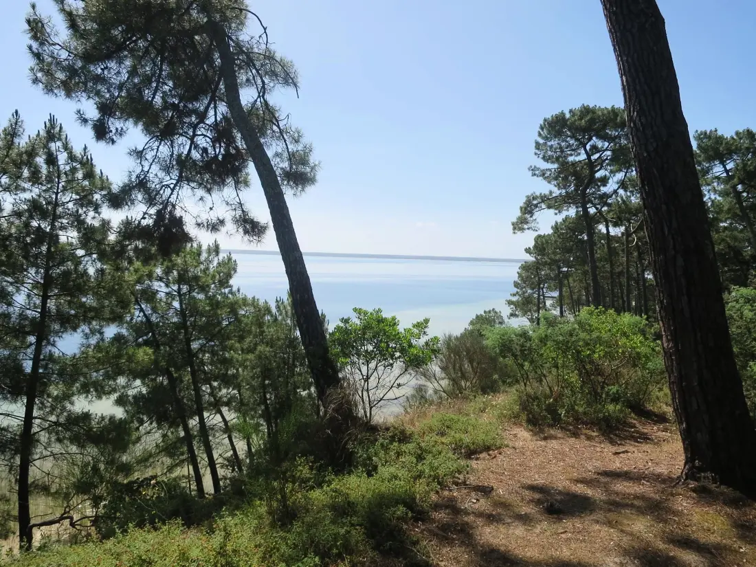 Residence Villathierry-biscarrosse Lake