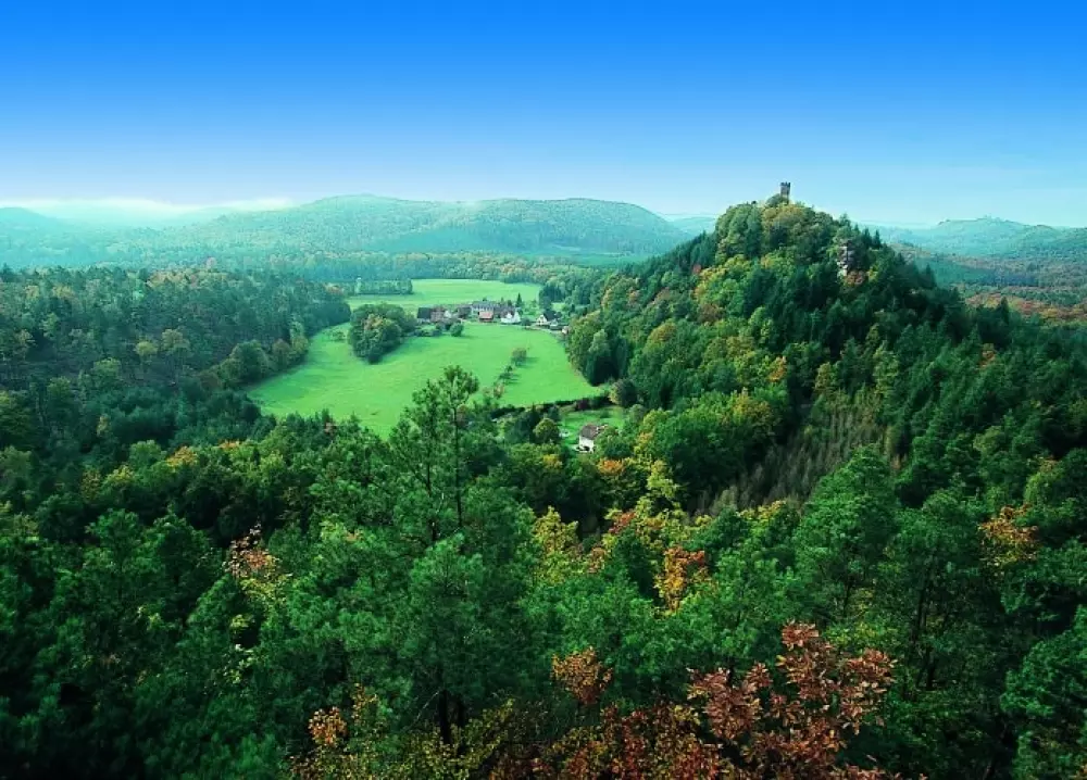 VVF Bitche 3 Stars★★★