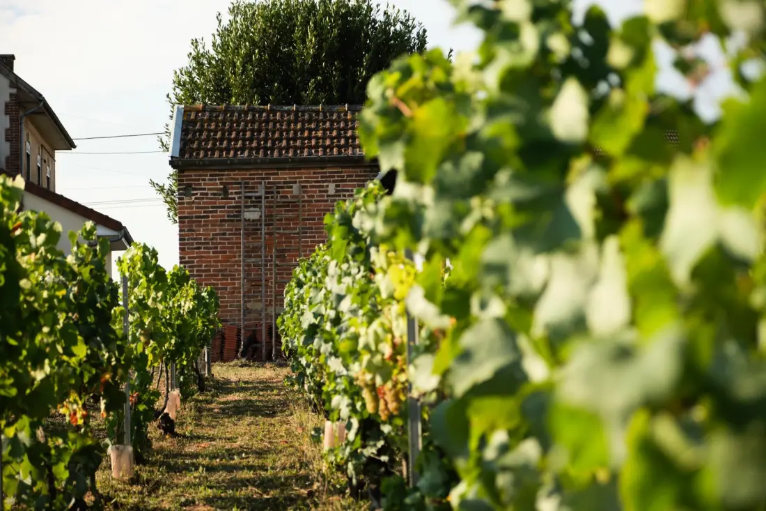 Gîte de France Das Haus des Champagnerzauns 4 Ohren
