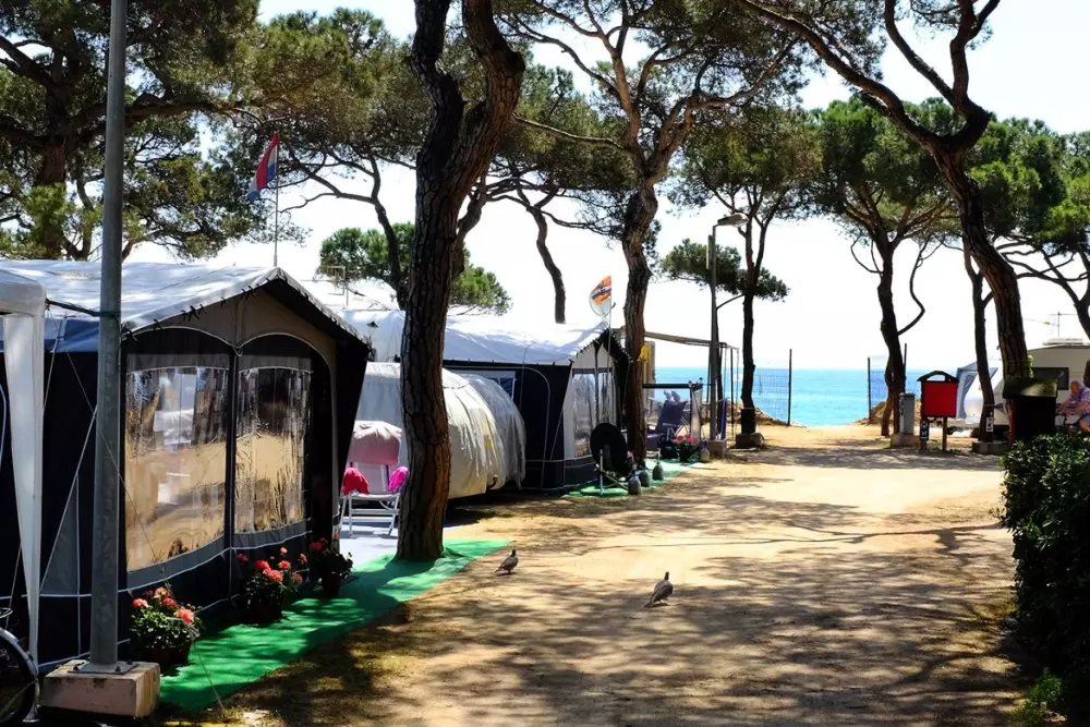 Alannia El Pinar  3 Sterne★★★