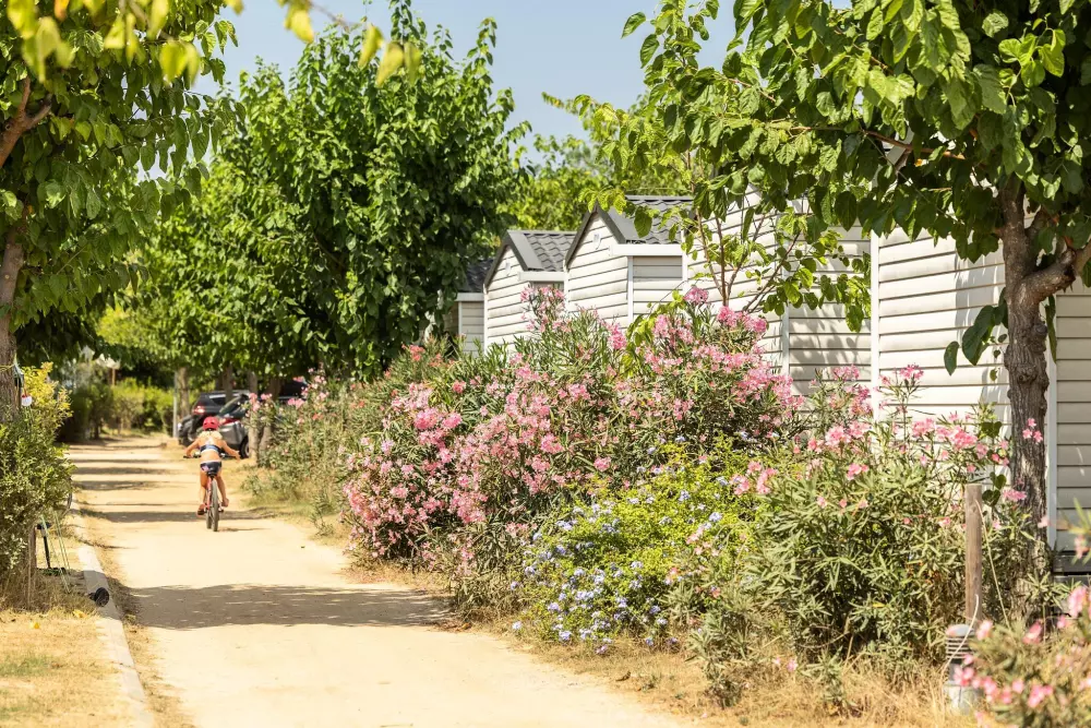 Campsite Alannia El Pinar