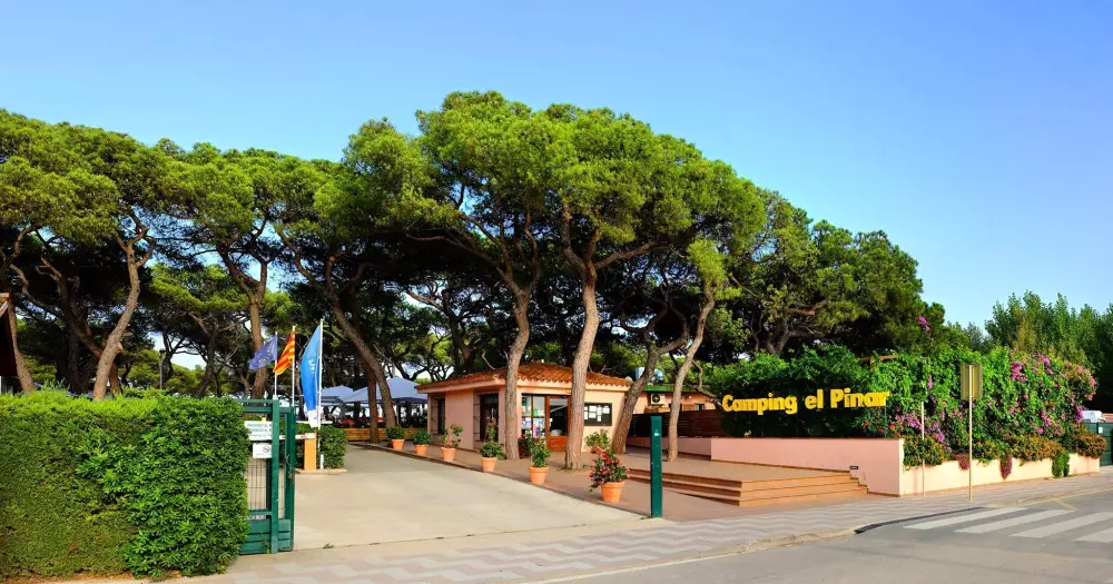 Campsite Alannia El Pinar