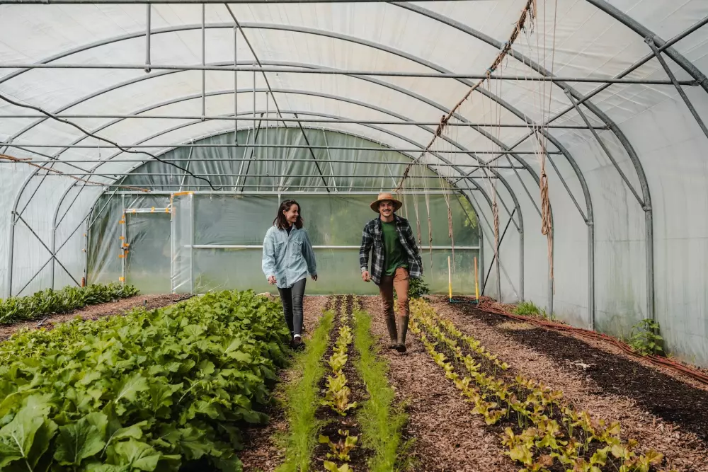 Puits Gardens - Parcel Tiny House