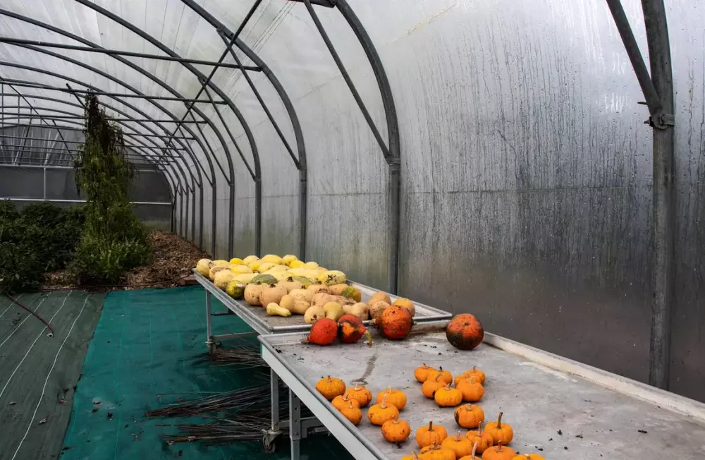 Puits Gardens - Parcel Tiny House