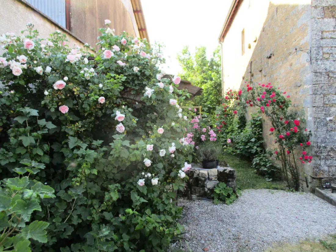 Gîte de France Gîte "antre-chats" 4 Ohren