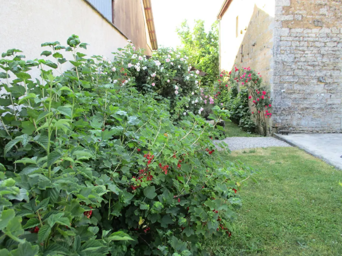 Gîte de France Gîte "antre-chats" 4 Ohren