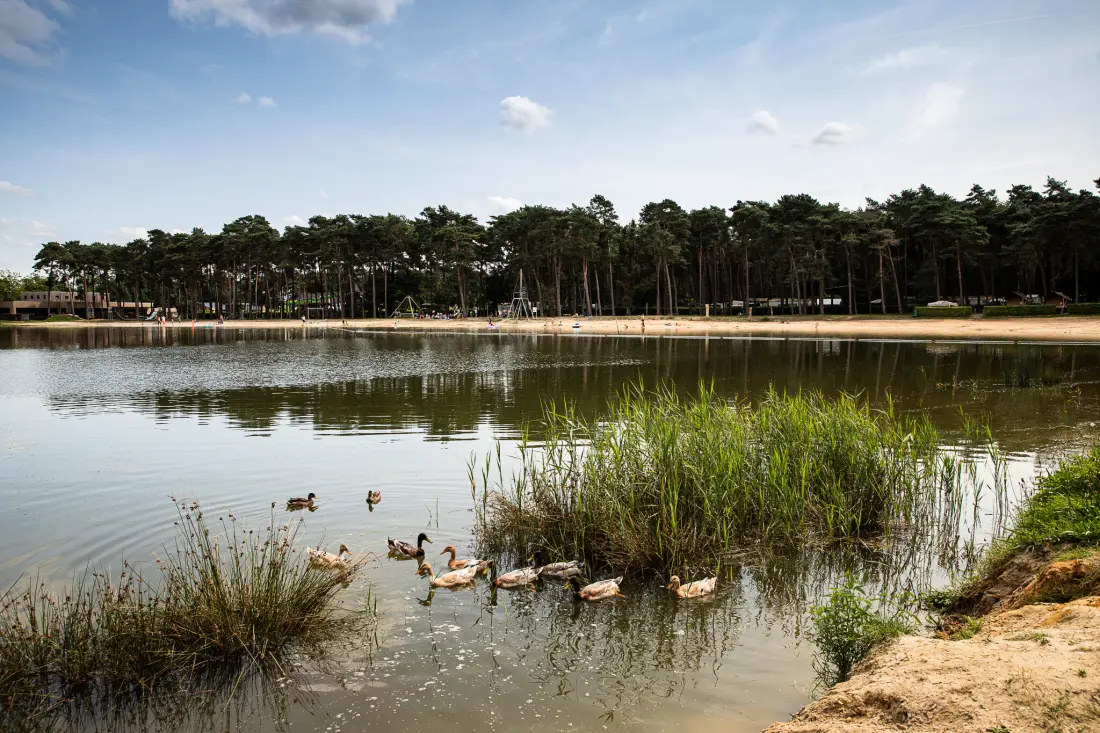 Familiepark Goolderheide