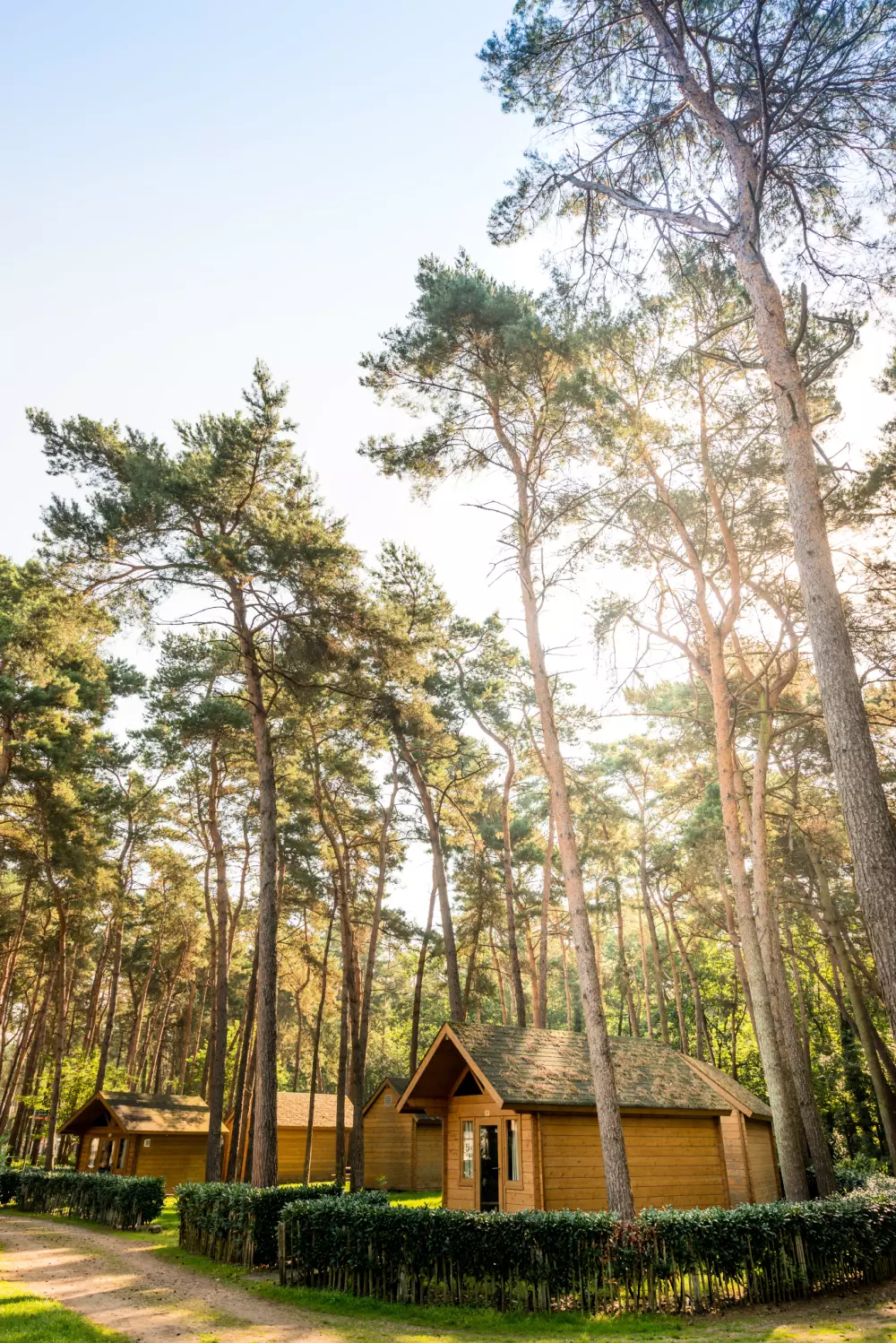 Familiepark Goolderheide