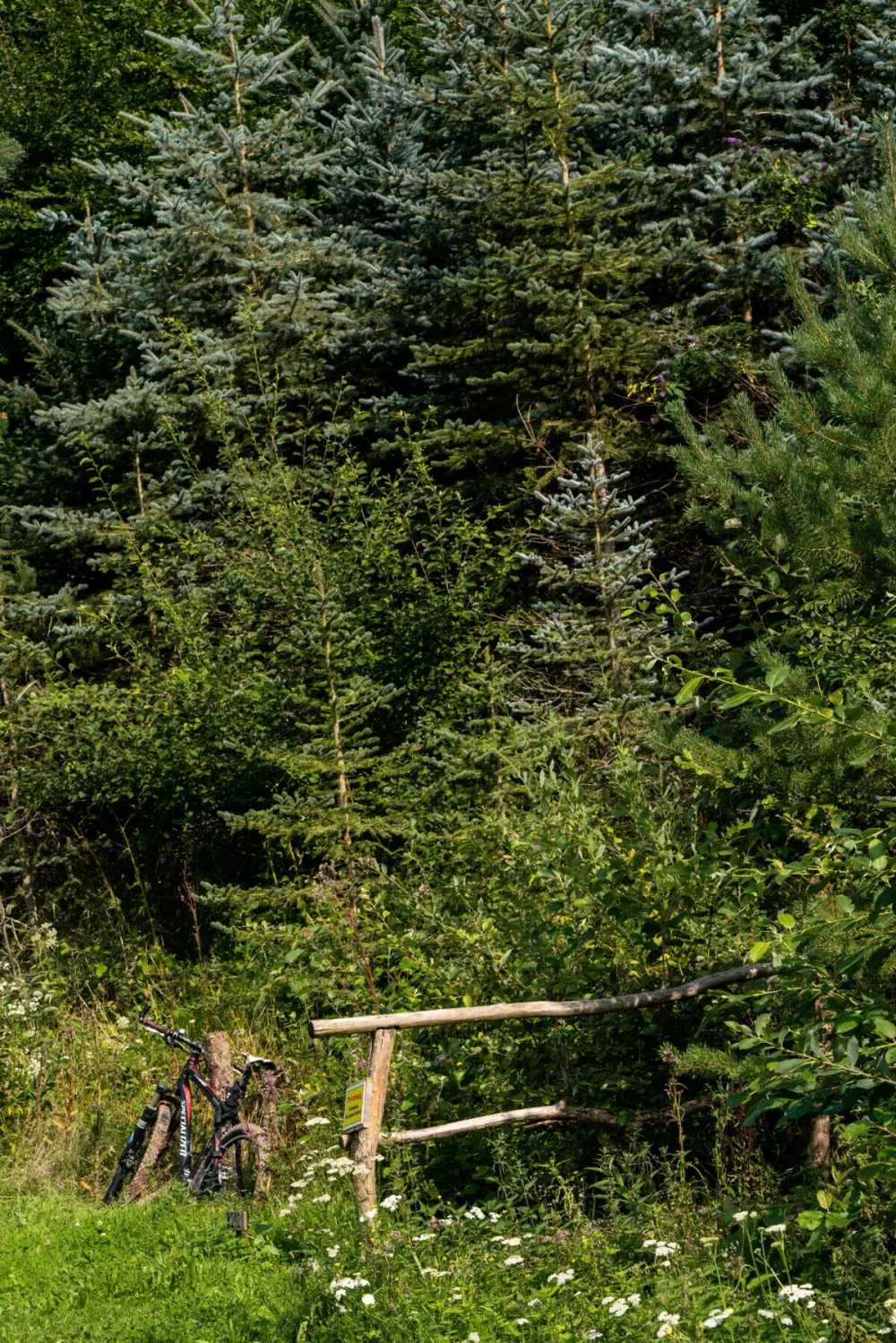 Campsite Bockenauer Schweiz (Vodatent)