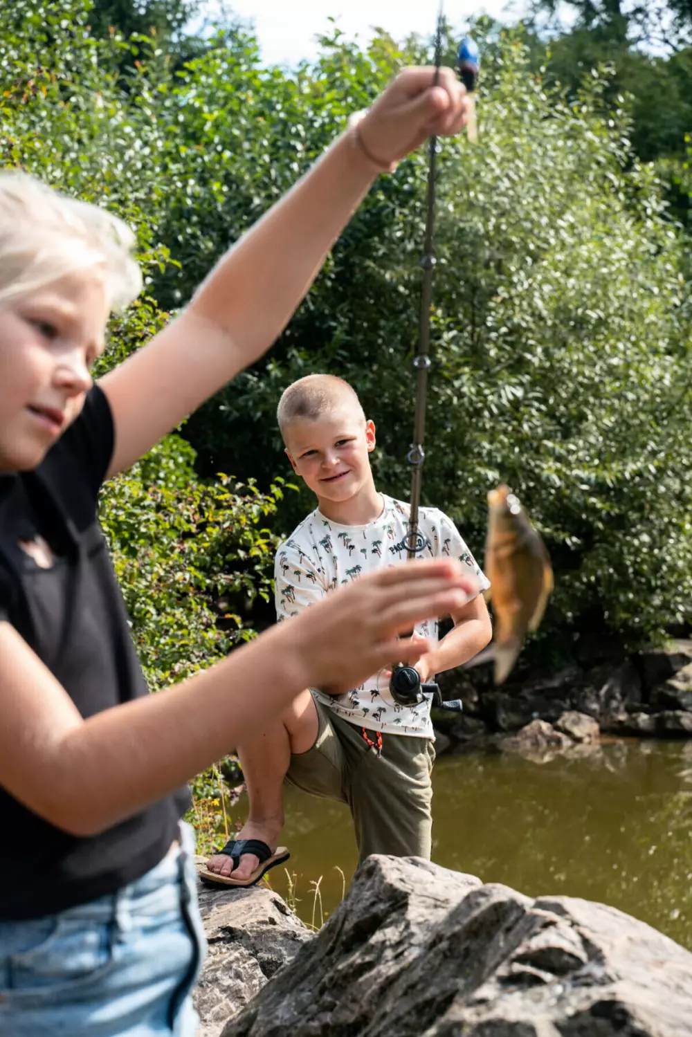 Campsite Bockenauer Schweiz (Vodatent)