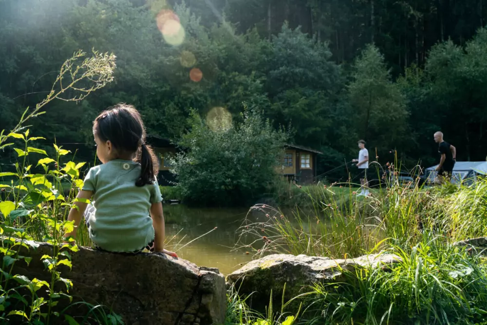 Campsite Bockenauer Schweiz (Vodatent)