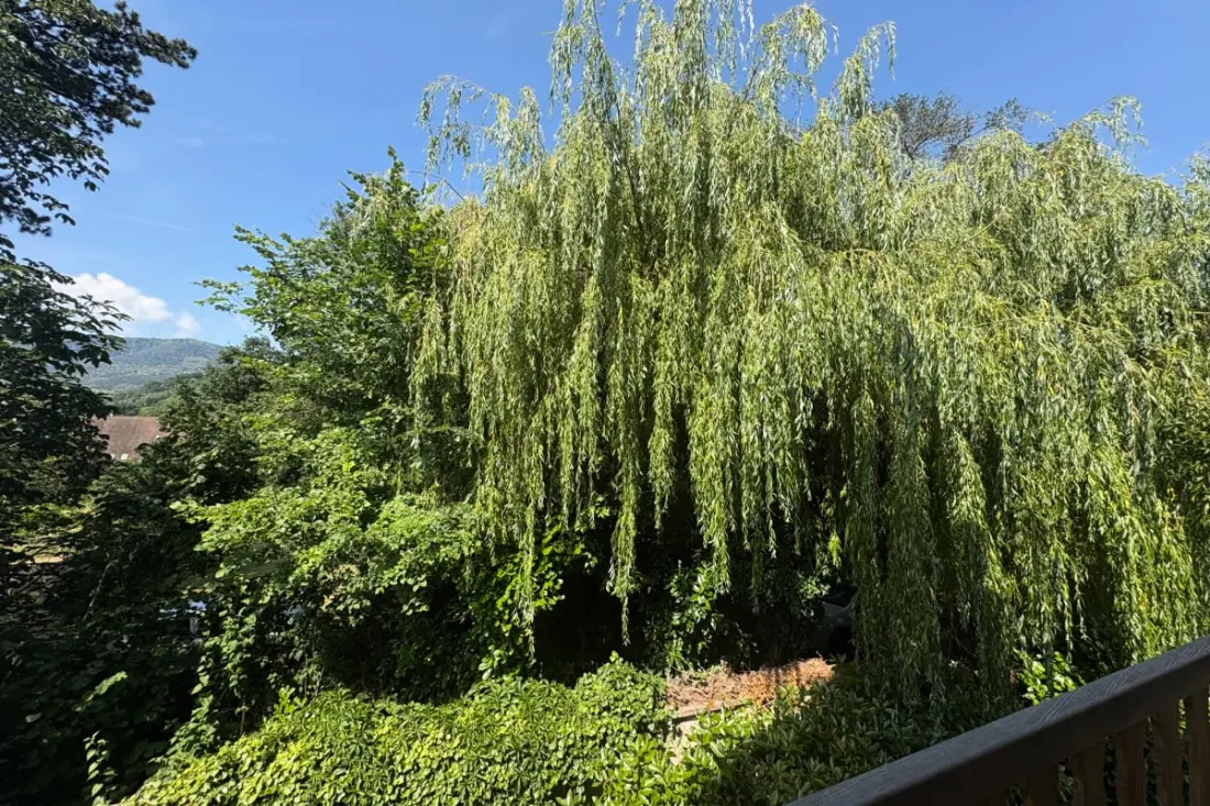 Les Alsaciennes Au Coeur Des Vignes à Boersch
