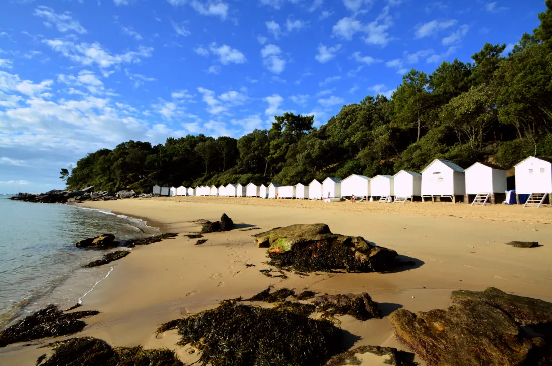 Camping Maeva Escapades Le Bois Joli4 Csillagok★★★★