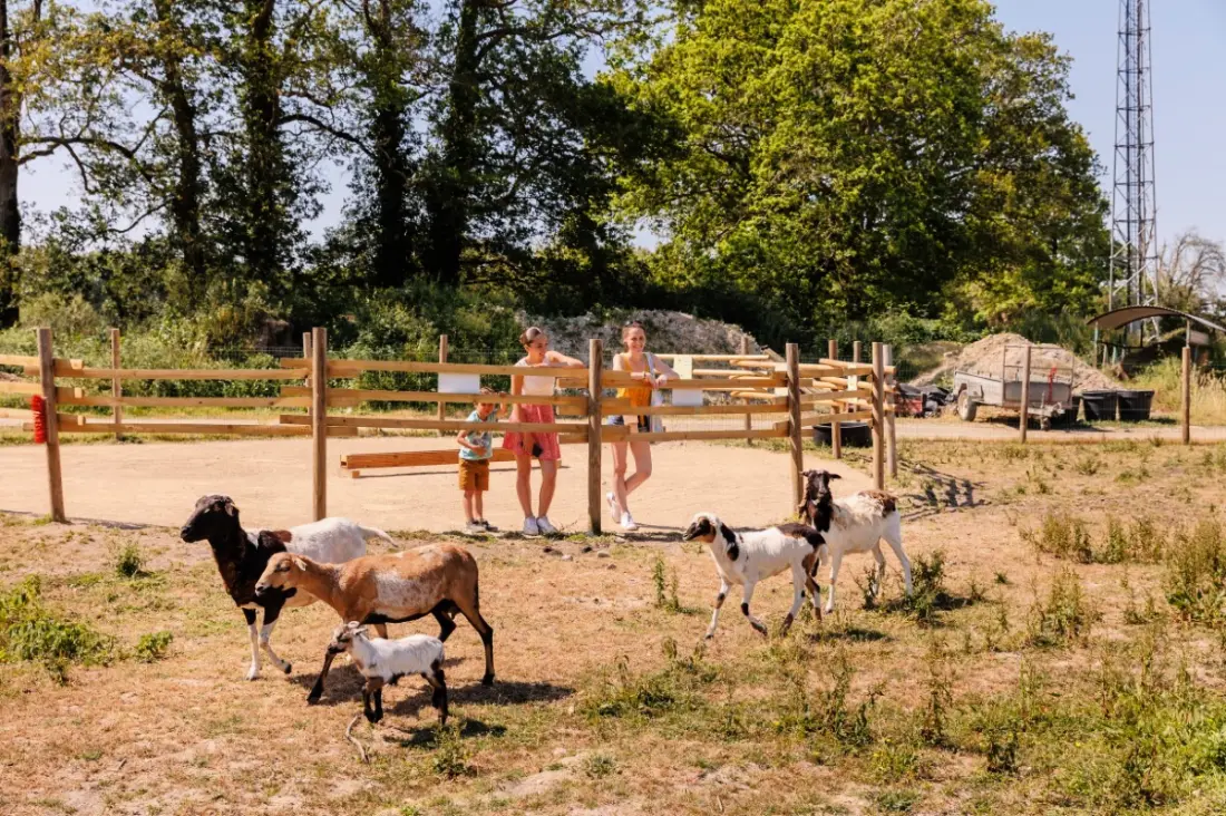 Camping Maeva Escapades Le Bois Joli4 Csillagok★★★★