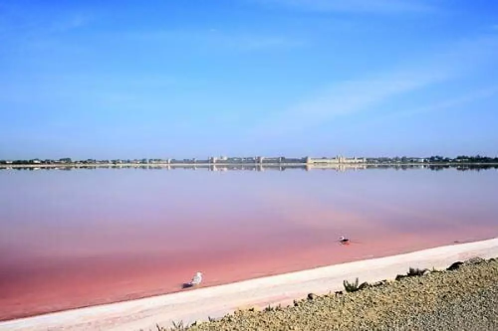 Campingplatz Domaine de Gajan 4 Sterne★★★★