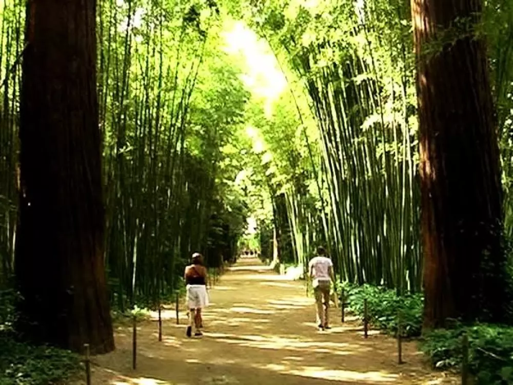 Campingplatz La Simioune Vaucluse und Drome Provencale 3 Sterne★★★