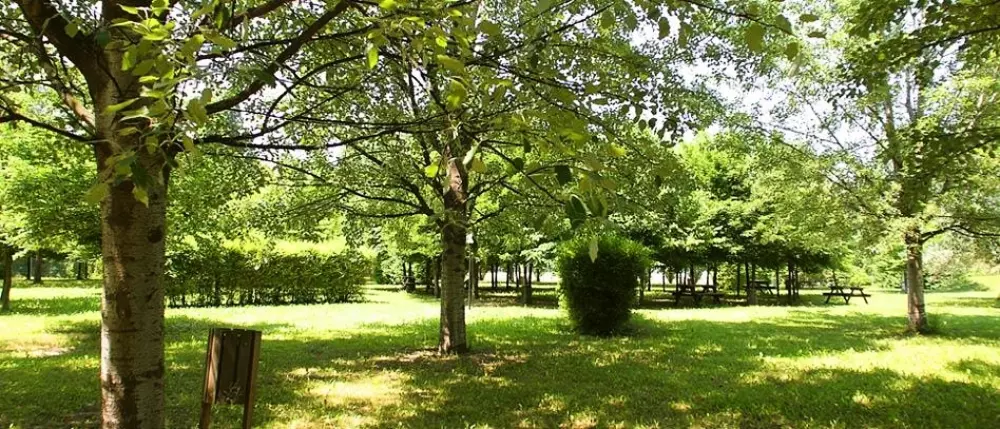 Club del Sole Bologna Easy Camping Village 3 Stars★★★