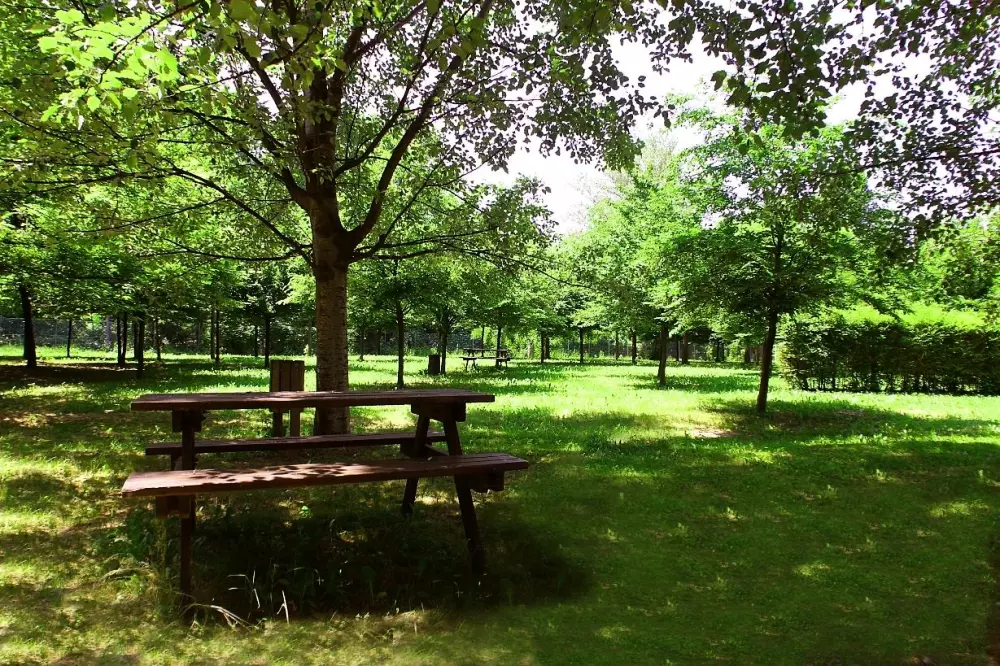 Club del Sole Bologna Easy Camping Village 3 Stars★★★