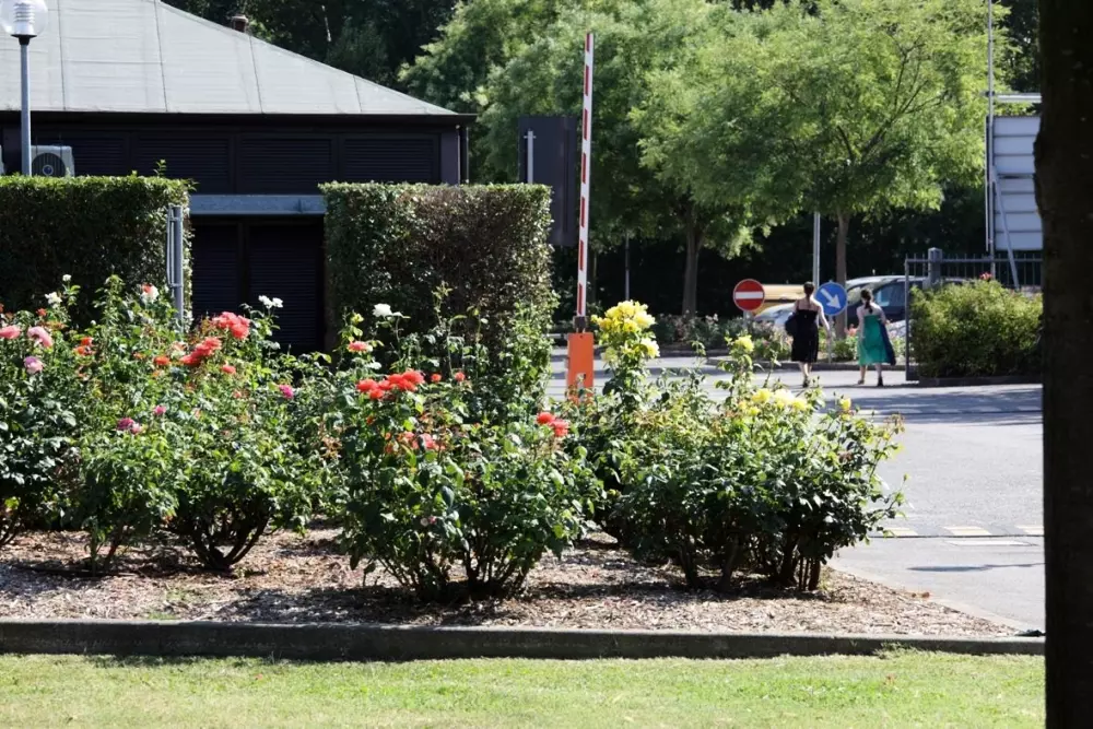 Club del Sole Bologna Easy Camping Village 3 Stars★★★