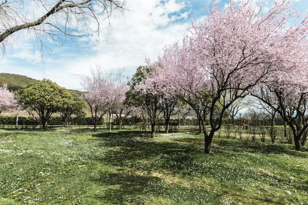 Wecamp Pirineos 4 Estrellas★★★★