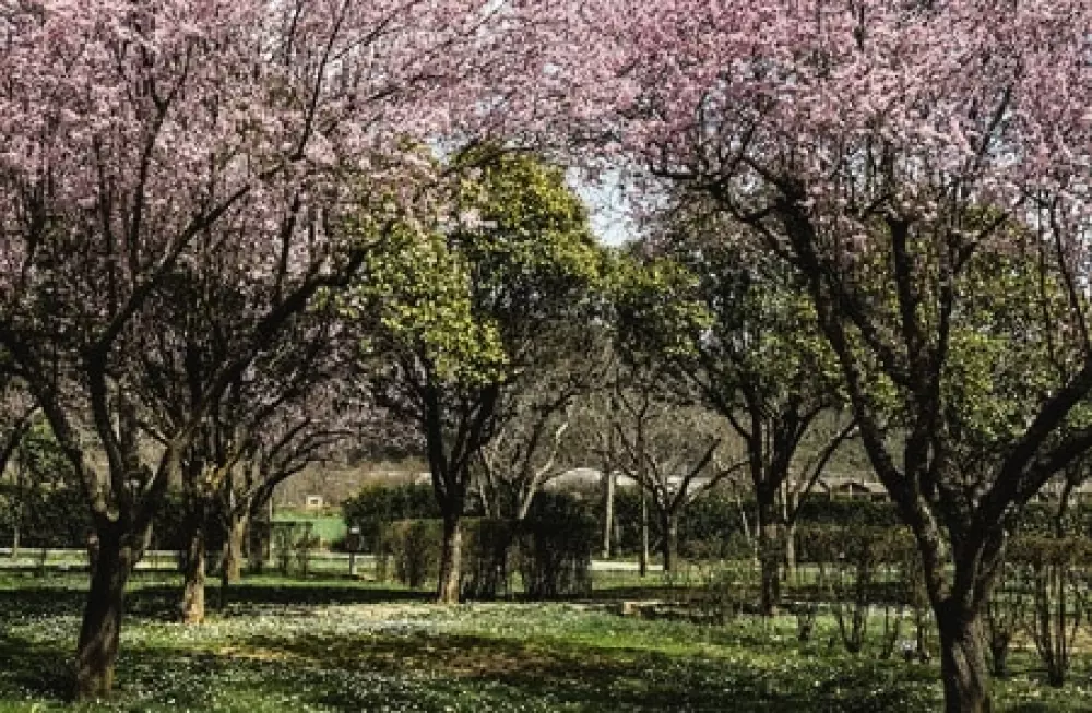 Wecamp Pirineos 4 Estrellas★★★★