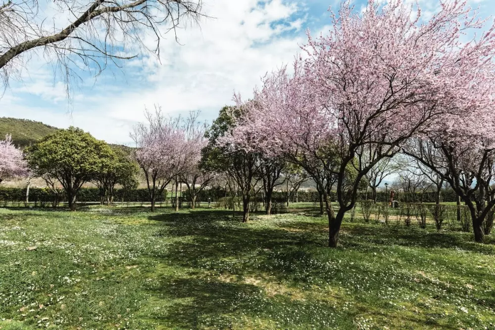 Wecamp Pirineos 4 Estrellas★★★★