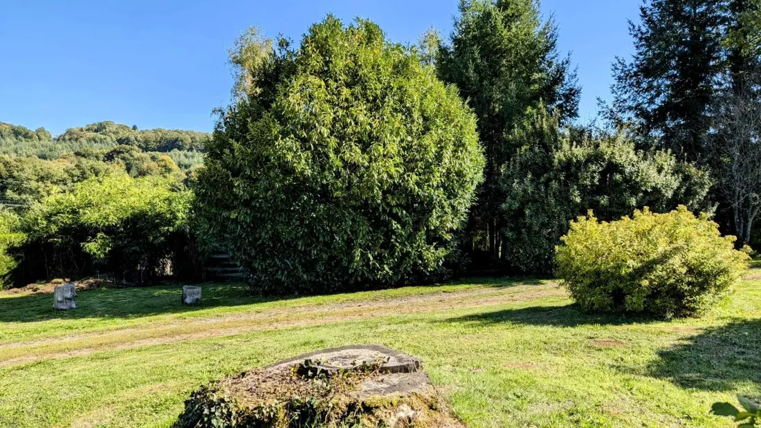 Gîte de France Maison du cèdre 2 oren