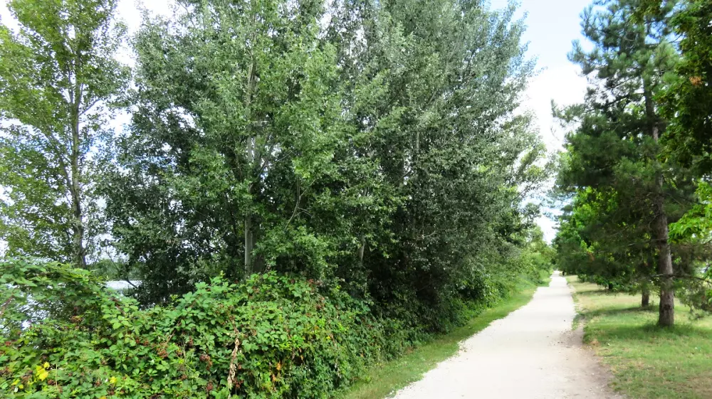 Appart'Hotel Sea & Golf City Bordeaux Lac