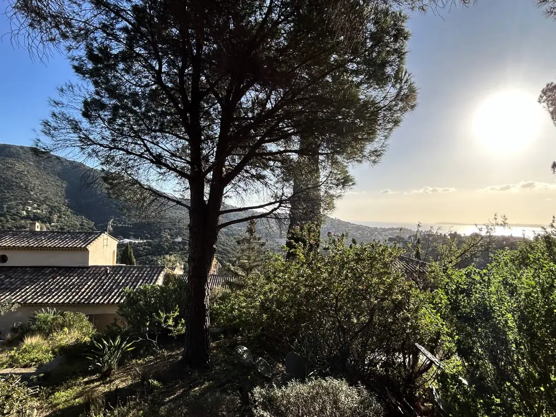 Residence Bo000-018-bormes Les Mimosas