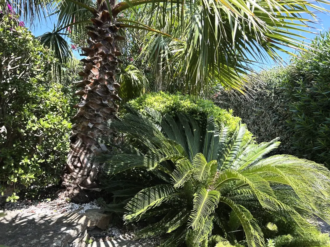 Residence Bo001-008-bormes Les Mimosas