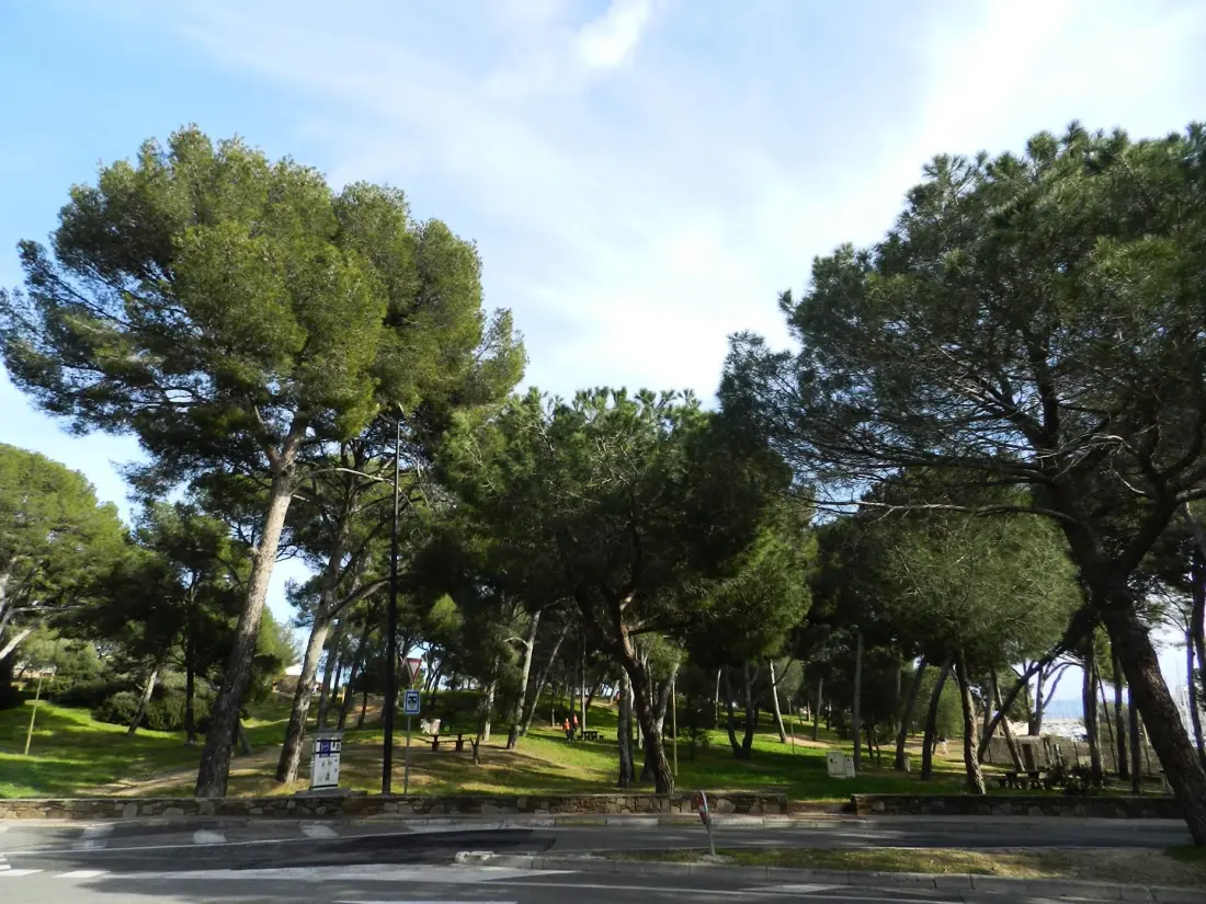 Residence Brise Marine