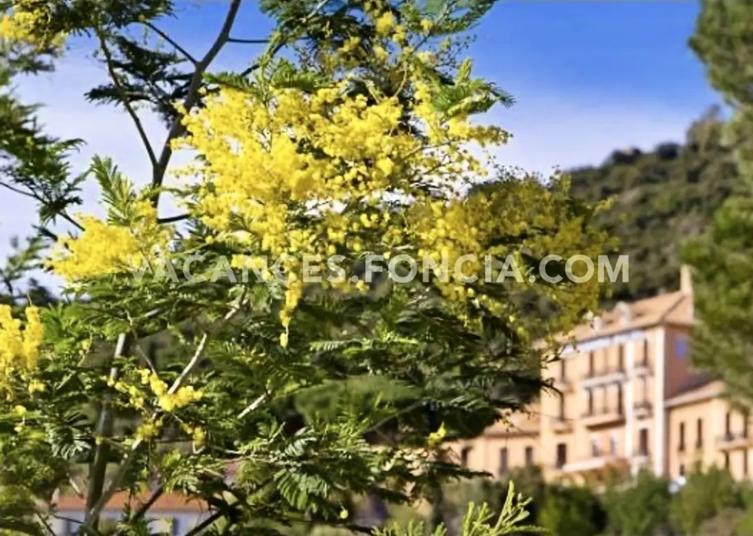 Residence Cote D'azur I