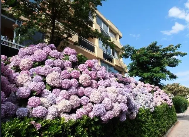 Residence Cote D'azur V
