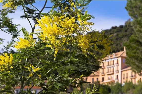 Residence Cote D'azur V