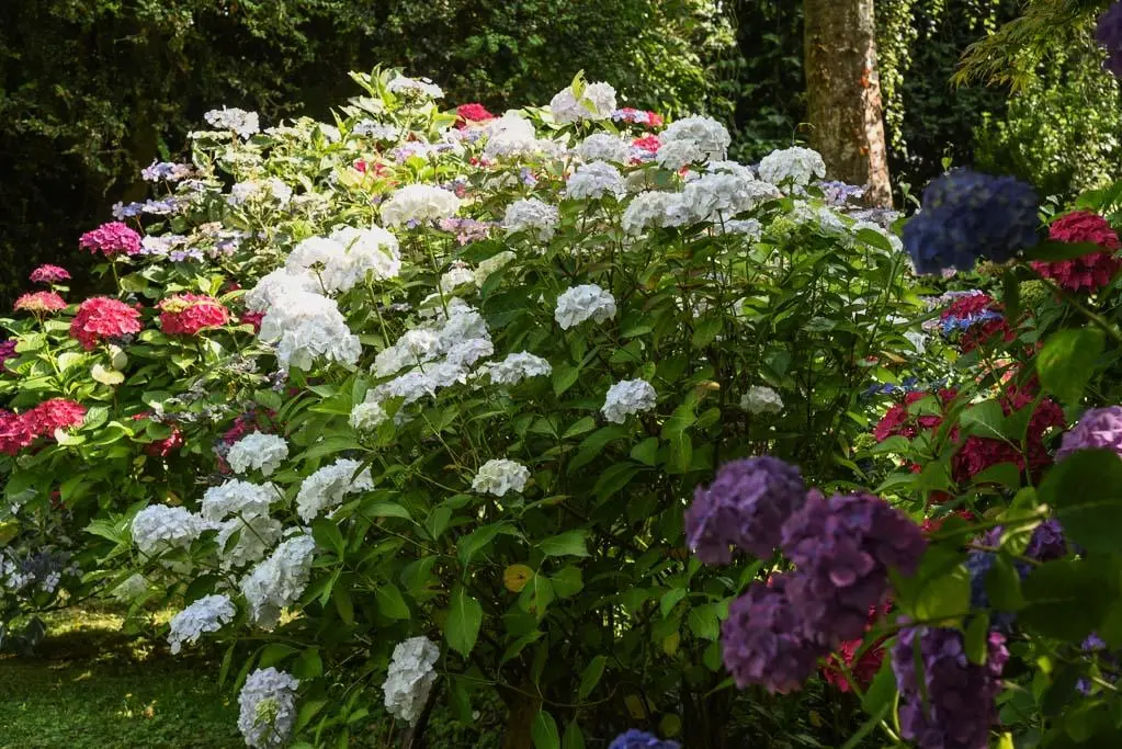 Gîte de France Gîtes de france® - a ház 4 fül