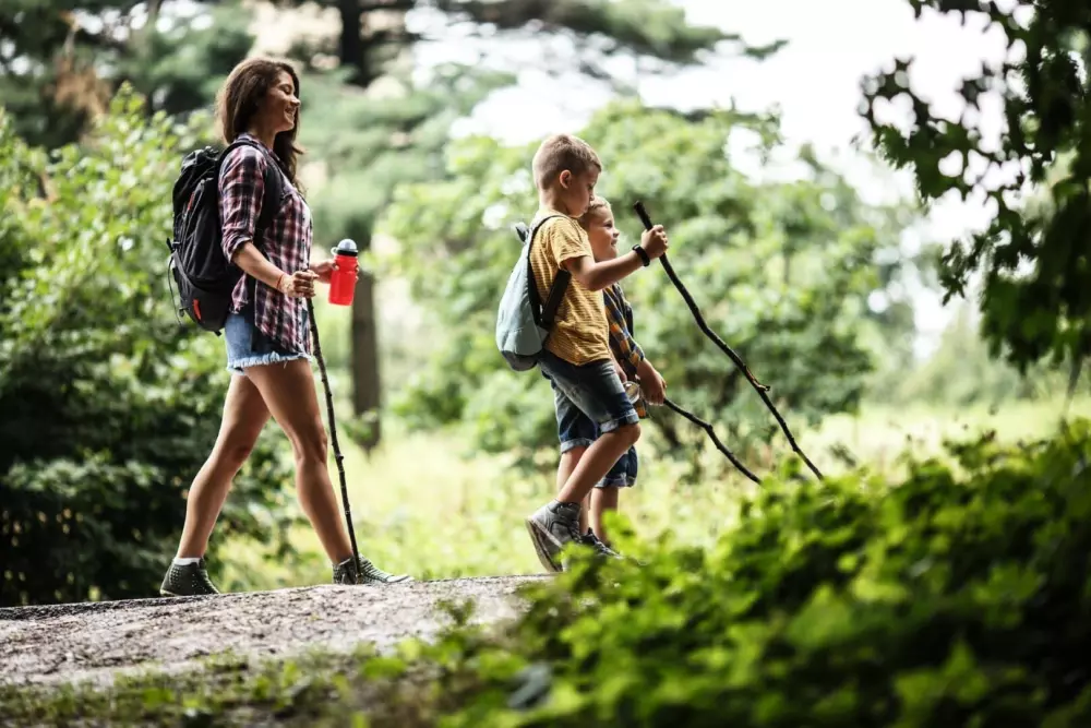 Campsite Yelloh Village Les Bois du Châtelas 4 Stars★★★★