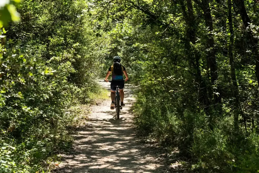 Campsite Yelloh Village Les Bois du Châtelas 4 Stars★★★★