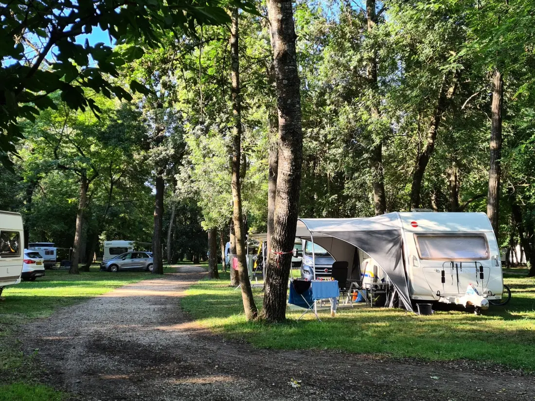 CAMPING DU LION 3 Estrellas★★★