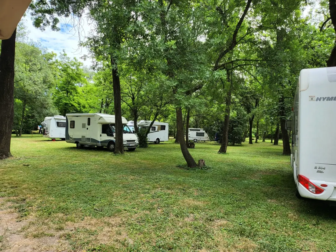 CAMPING DU LION 3 Estrellas★★★