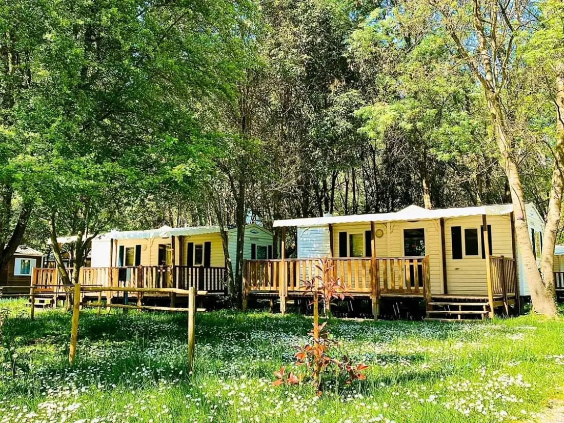 CAMPING DU LION 3 Estrellas★★★