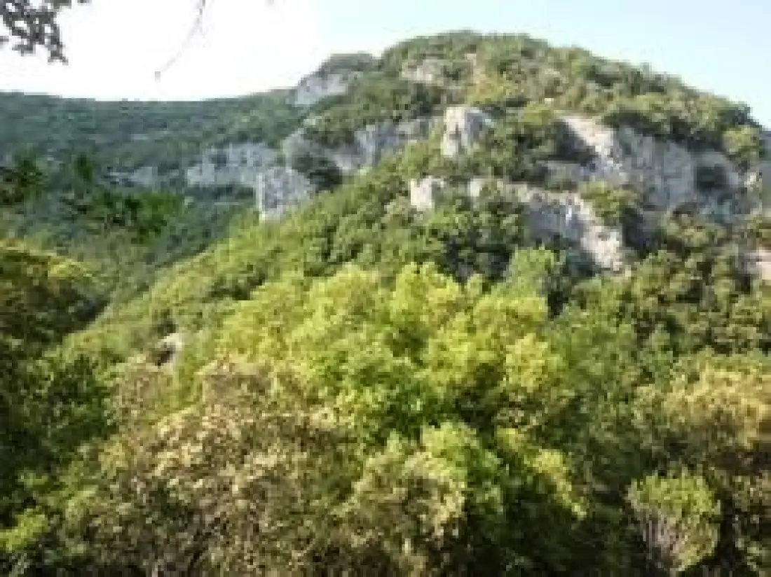 CAMPING DU LION 3 Estrellas★★★