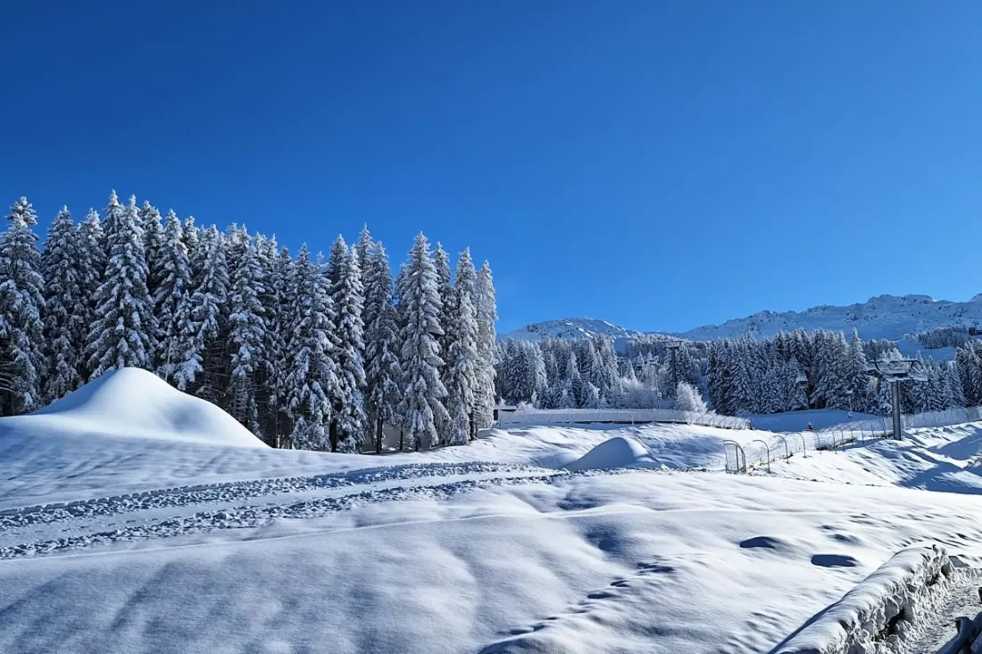 Appartement Ski-in/ski-out Avec Vue Mont-blanc