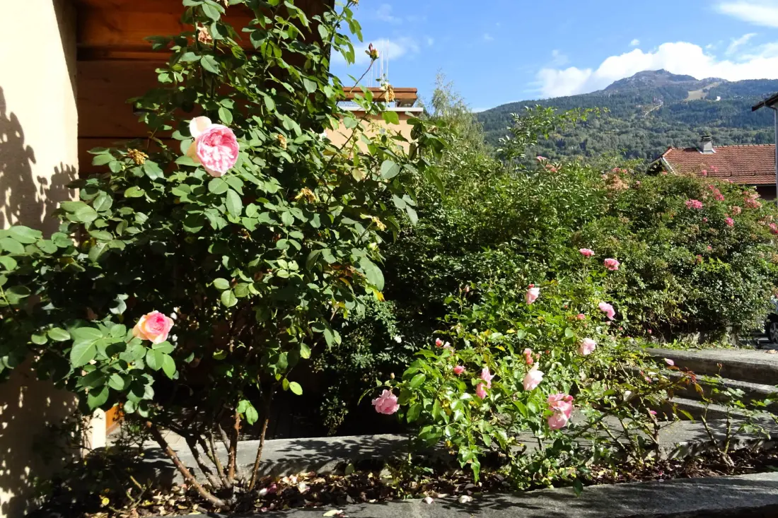 Residence L’horizon