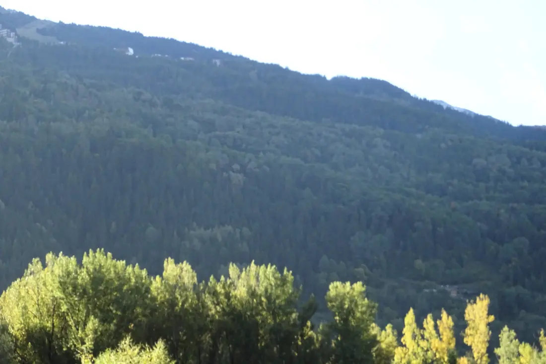 Ruitor rezidencia