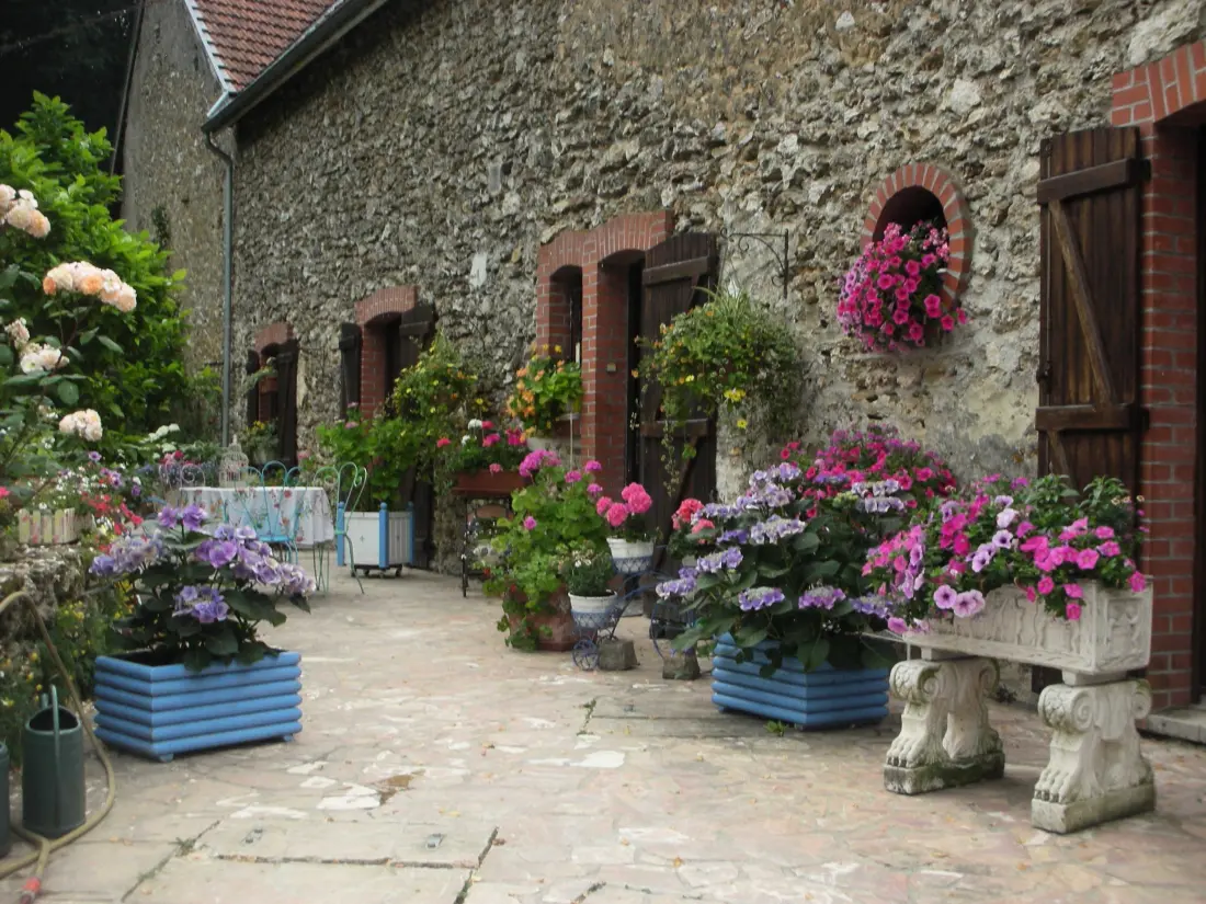 Gîte de France Die 4 Ohren Spinat