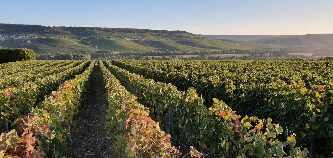 Gîte de France Der heilige Hahn 2 3 Ohren