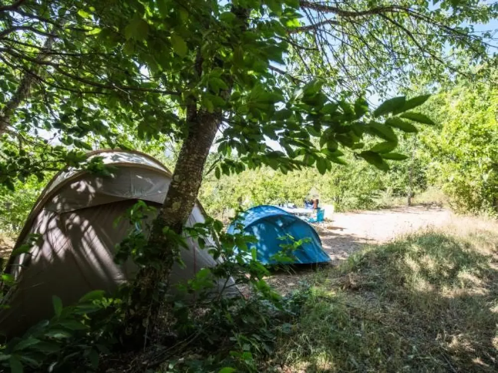 Cepo Verde 5 Sterren★★★★★