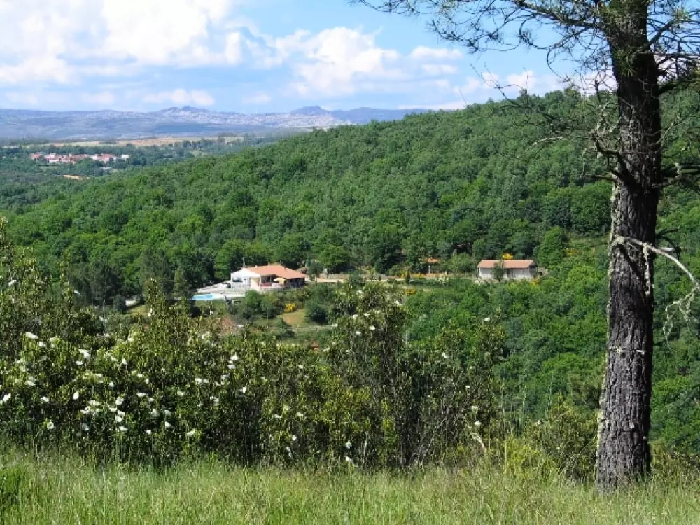 Cepo Verde 5 Sterren★★★★★