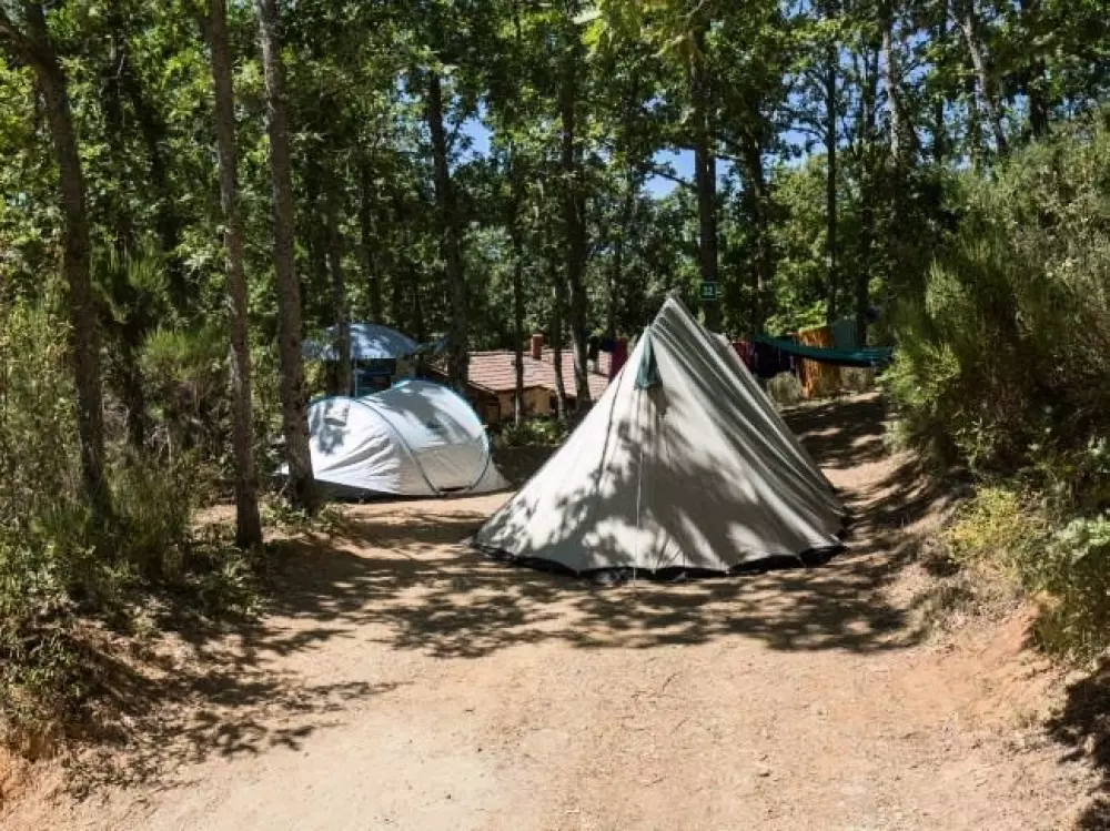 Cepo Verde 5 Sterren★★★★★